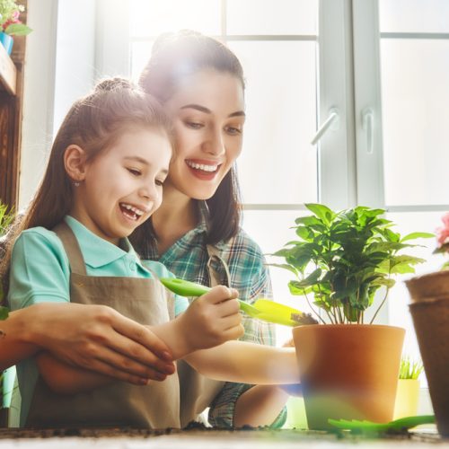 Plantas en primavera: consejos para decorar tu hogar