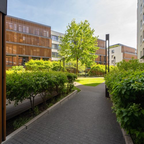 A,Modern,Residential,Complex,Featuring,Sleek,Buildings,With,Wooden,Accents,