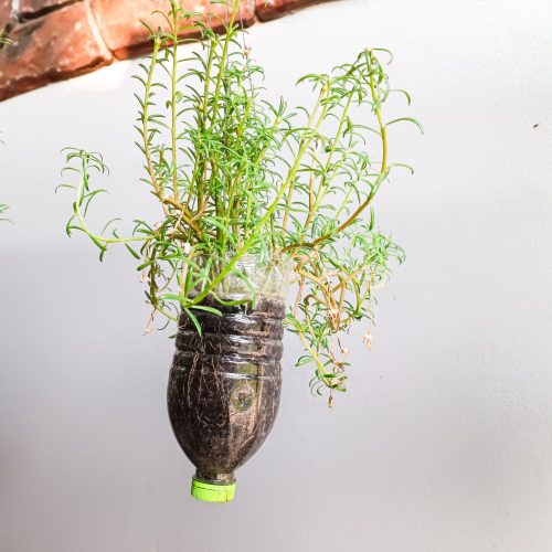 Flower,Pots,Made,From,Plastic,Bottles,It,Is,Recycled,And